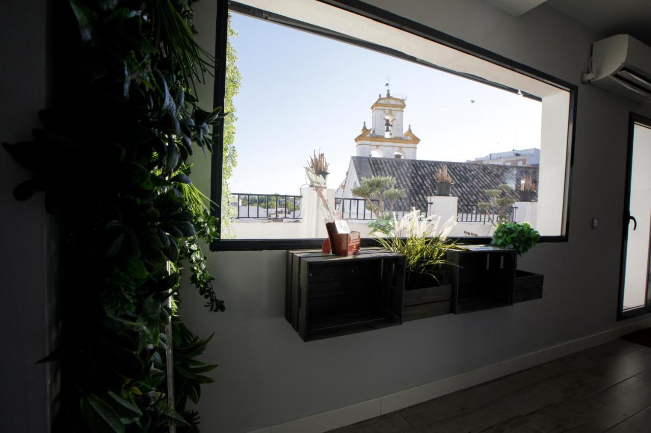 Atico Casa Lola Apartment กอร์โดบา ภายนอก รูปภาพ
